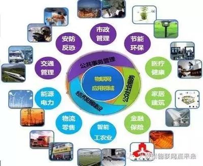 物联网 国家战略驱动下的技术革命与产业未来